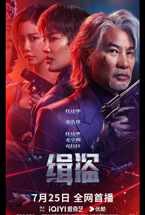 Поймать воров (2025)